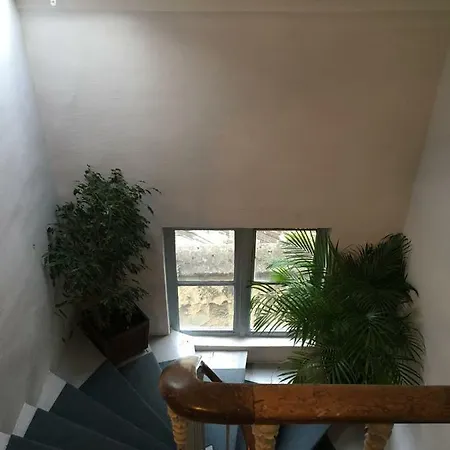 Le 4b - Le Vintage *