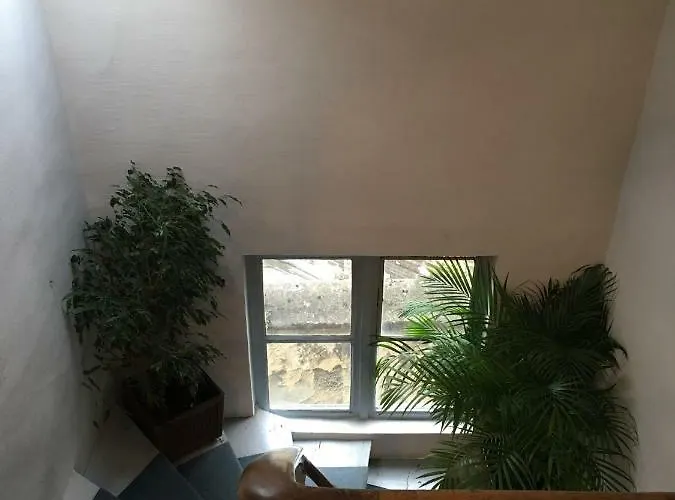 Le 4b - Le Vintage *